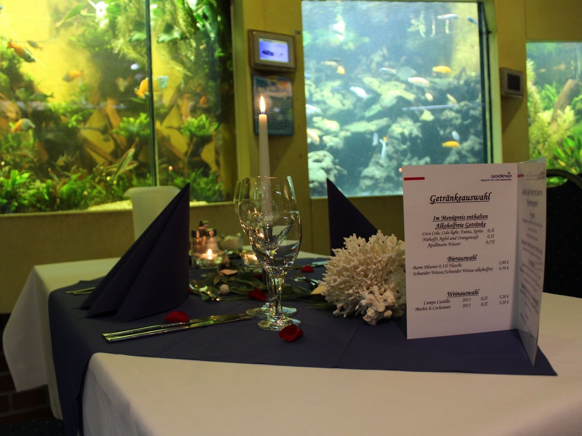 Gedeckter Tisch mit Kerze und Speisekarte, dahinter große Aquarien mit Fischen.