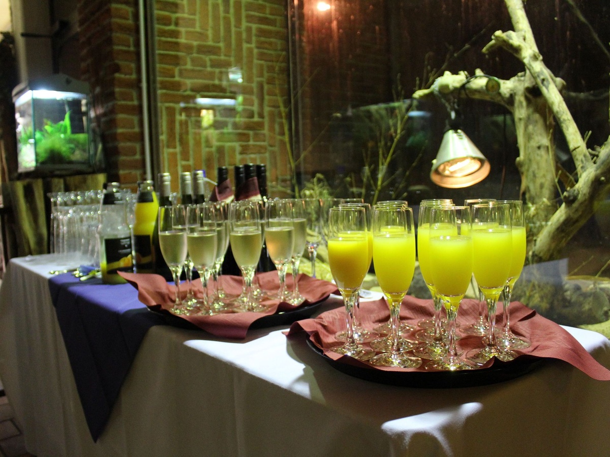 Tisch mit Gläsern Sekt und Orangensaft, Flaschen. Ein Terrarium im Hintergrund.