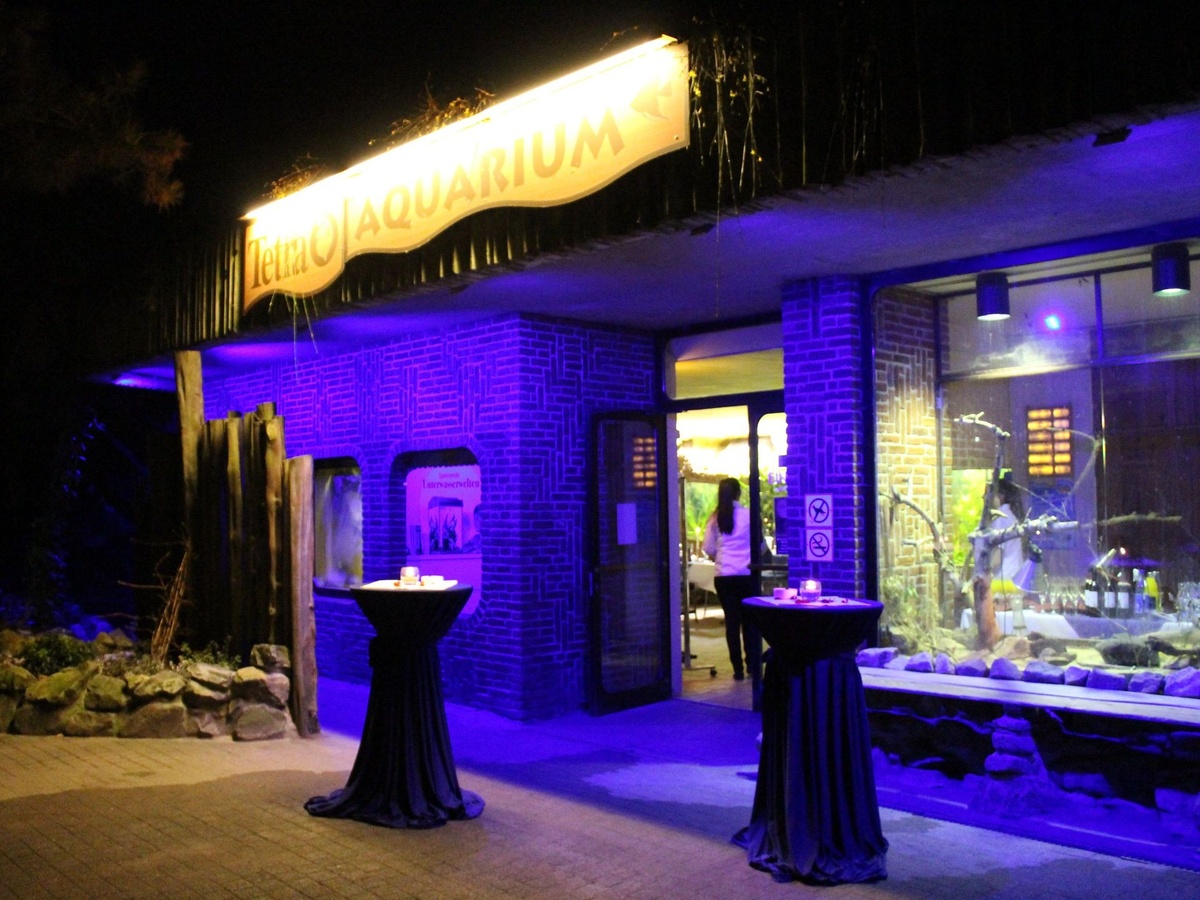 Aquarium-Eingang bei Nacht, blau beleuchtet, mit Stehtischen und großen Fenstern.