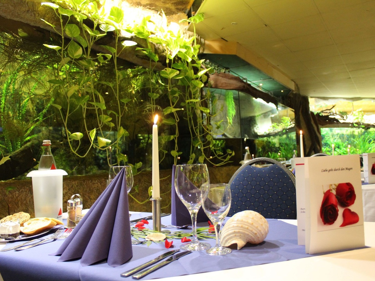 Festlich gedeckter Tisch mit Kerze und Deko vor großem Aquarium.